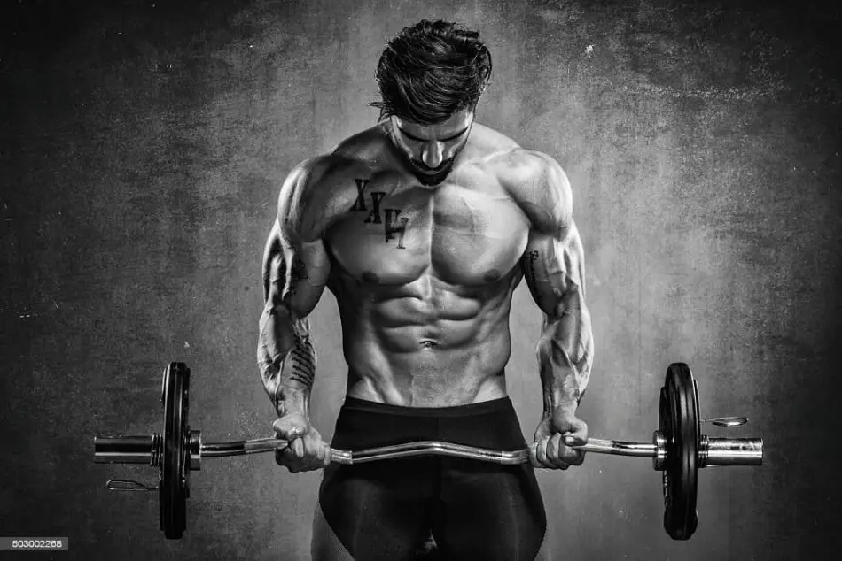 About the Dianabol Solo Cycle About the Dianabol Solo Cycle