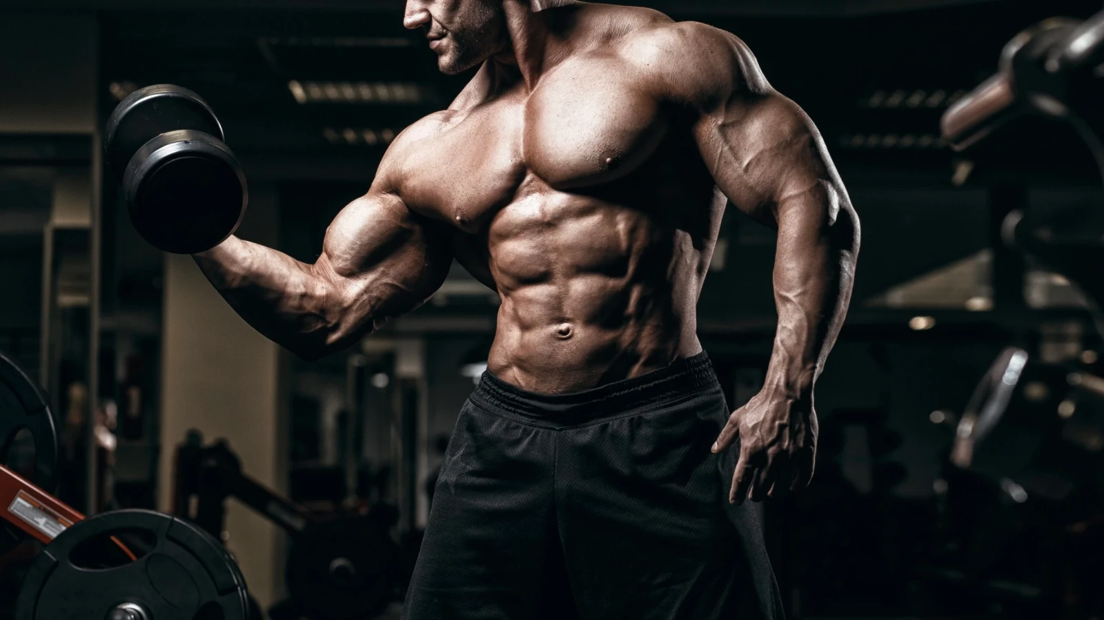 benefits for bodybuilders and athletes